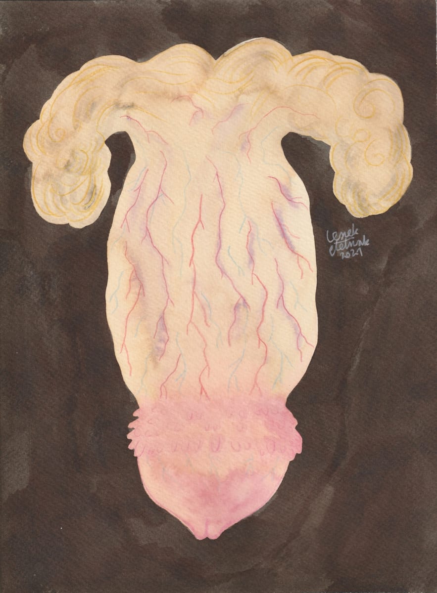 penis-with-pearly-penile-papules-11-2021-nsfw